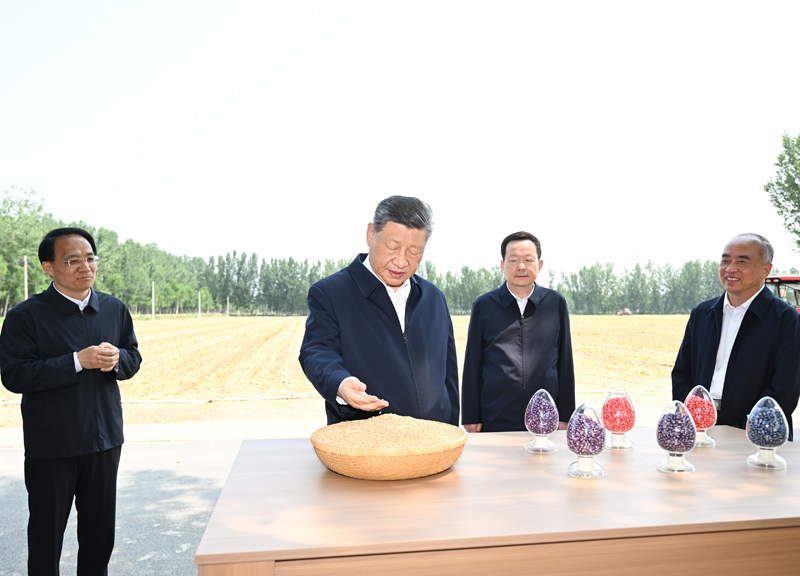习近平在山东德州考察 习近平：以扎实举措推进农业农村现代化 用勤劳和智慧创造更加美好生活